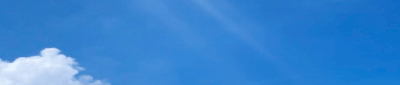 公司治理