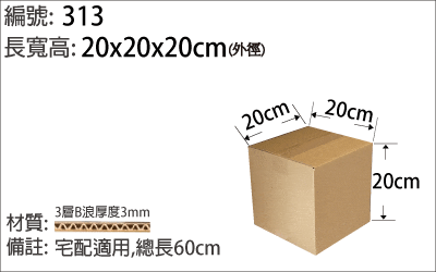 313紙箱，產品出貨包裝，小物收納方型紙箱